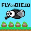 FlyOrDie .io